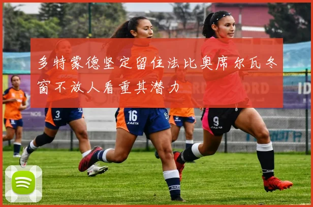 多特蒙德坚定留住法比奥席尔瓦冬窗不放人看重其潜力